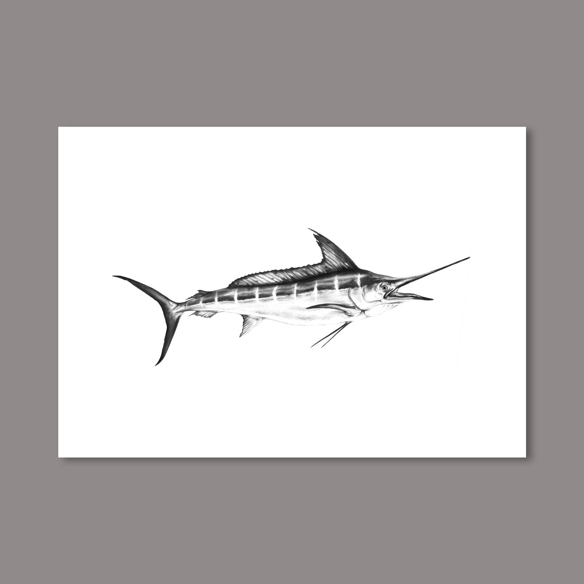 MARLIN PRINT– Just Another Fisherman